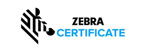 Zebra certificati | Ingest