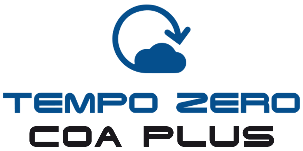 TEMPO ZERO COA PLUS: contabilità analitica e industriale in Business Central | INGEST